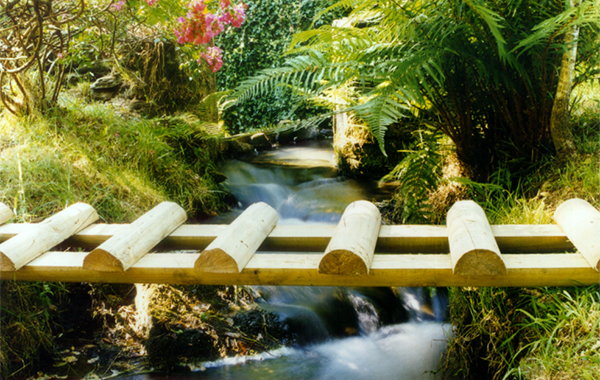 Estacas de madeira