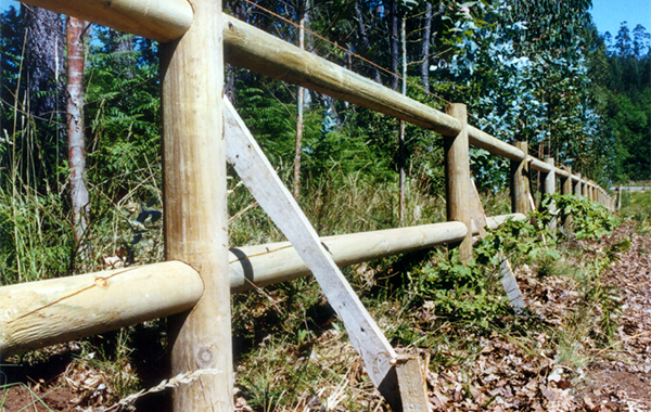 Estacas de madeira